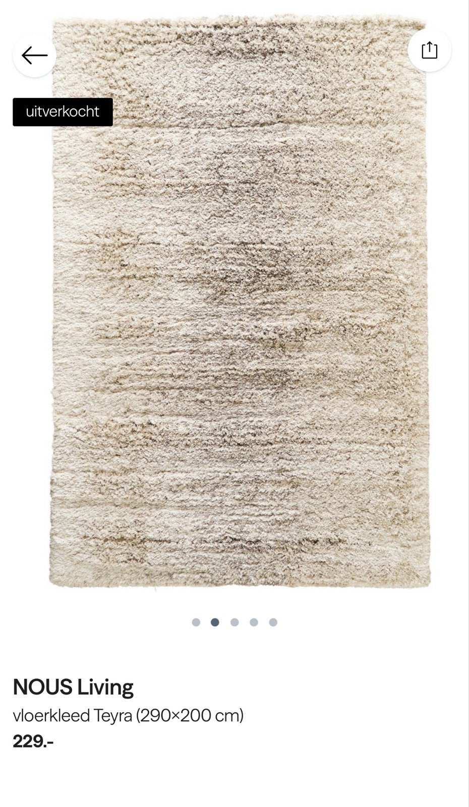 Vloerkleed Teyra (290x200 cm) - Zo goed als nieuw, Huis en Inrichting, Ophalen, Zo goed als nieuw, 200 cm of meer, Grijs