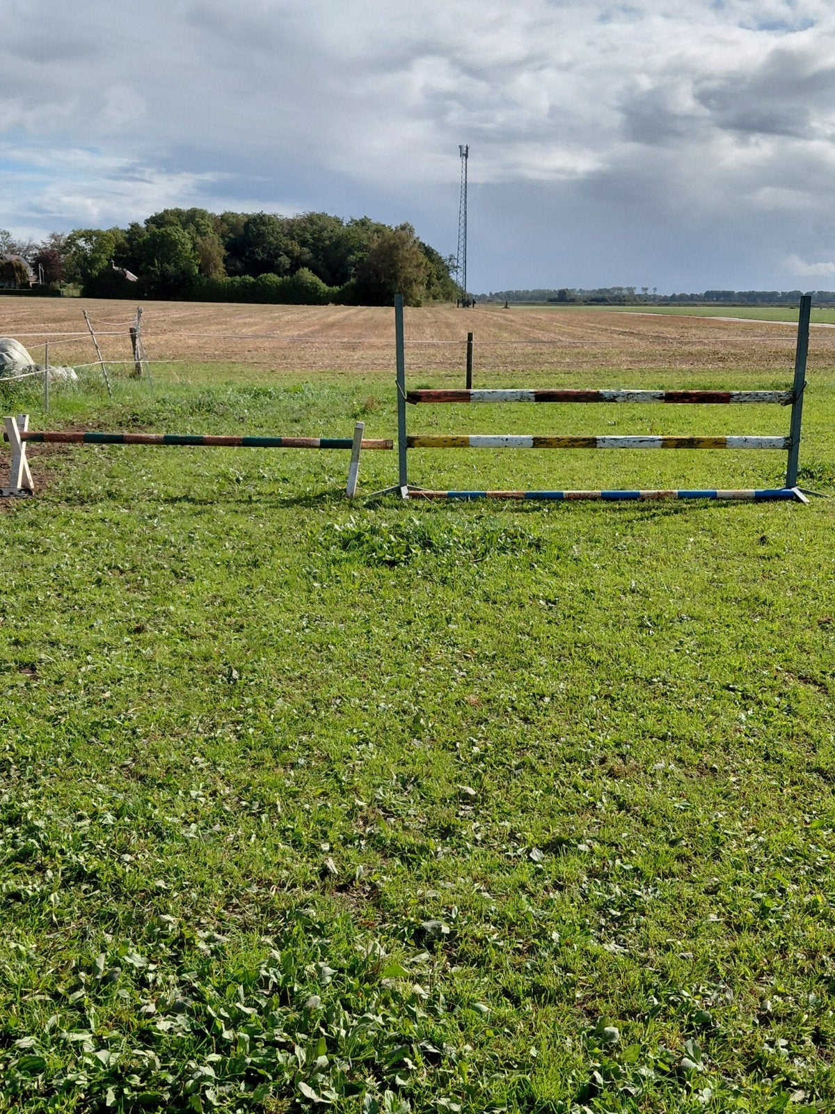 hindernissen, Dieren en Toebehoren