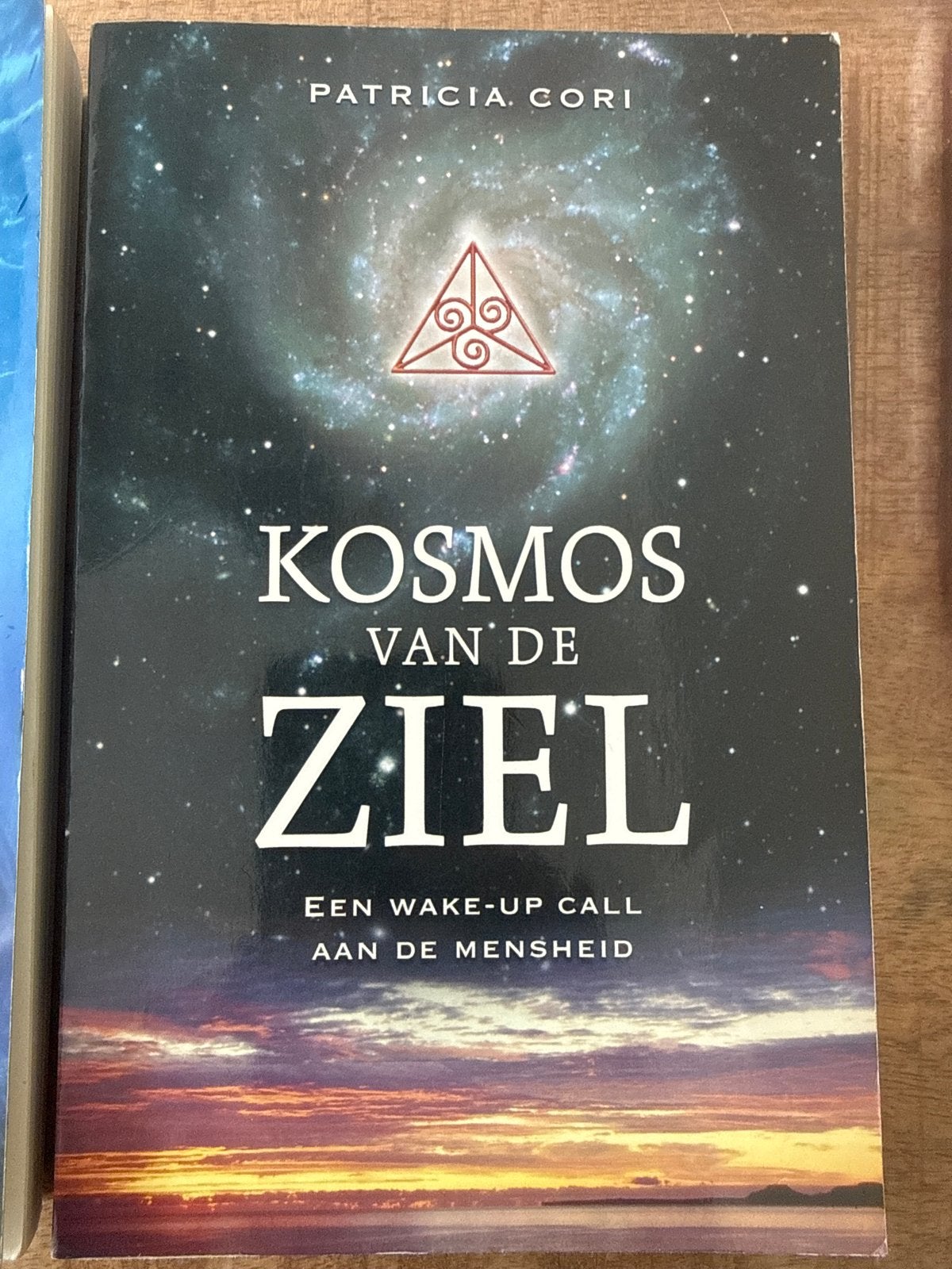 Kosmos van de Ziel - Patricia Cori (Zo goed als nieuw), Ophalen of Verzenden, Zo goed als nieuw, Ziel of Sterfelijkheid, Achtergrond en Informatie