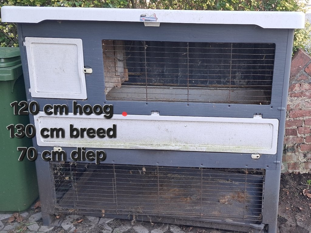 Hok voor knaagdieren, Dieren en Toebehoren, Ophalen, 90 cm of meer, Hok, Cavia