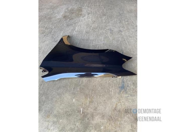 Scherm links-voor van een Volkswagen Polo (LC9X), -, Volkswagen, -, Nieuw