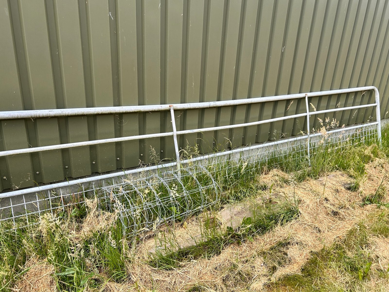 Weidehek 4 meter bij 1 meter, -, -, -