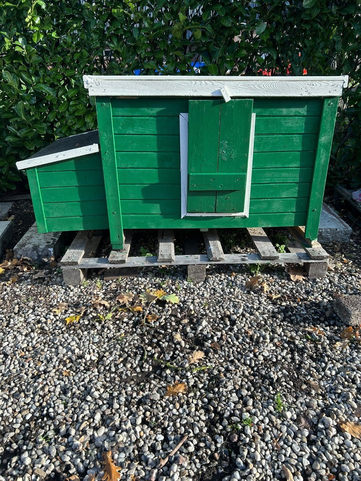 Kippenhokje met Legnest, Ophalen of Verzenden