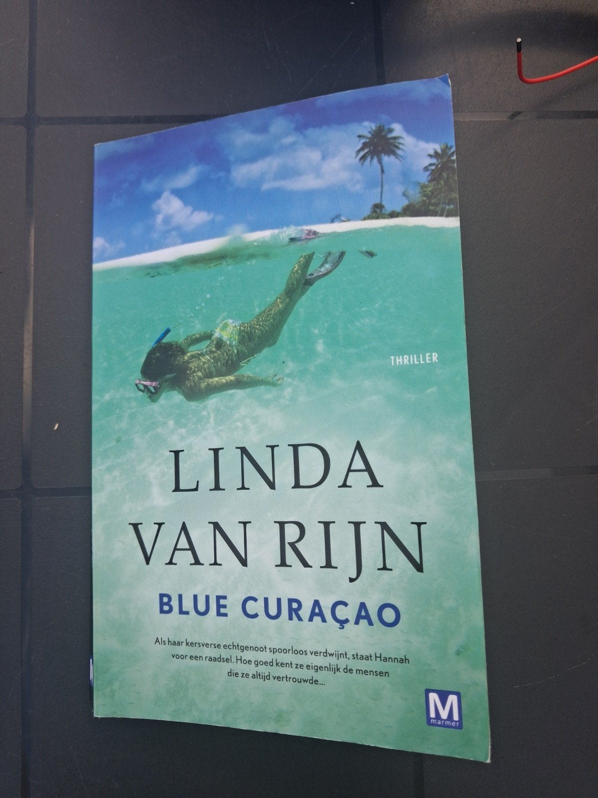 Spannend boek: Blue Curaçao van Linda van Rijn, Ophalen of Verzenden, Gelezen, Linda van Rijn, Nederland