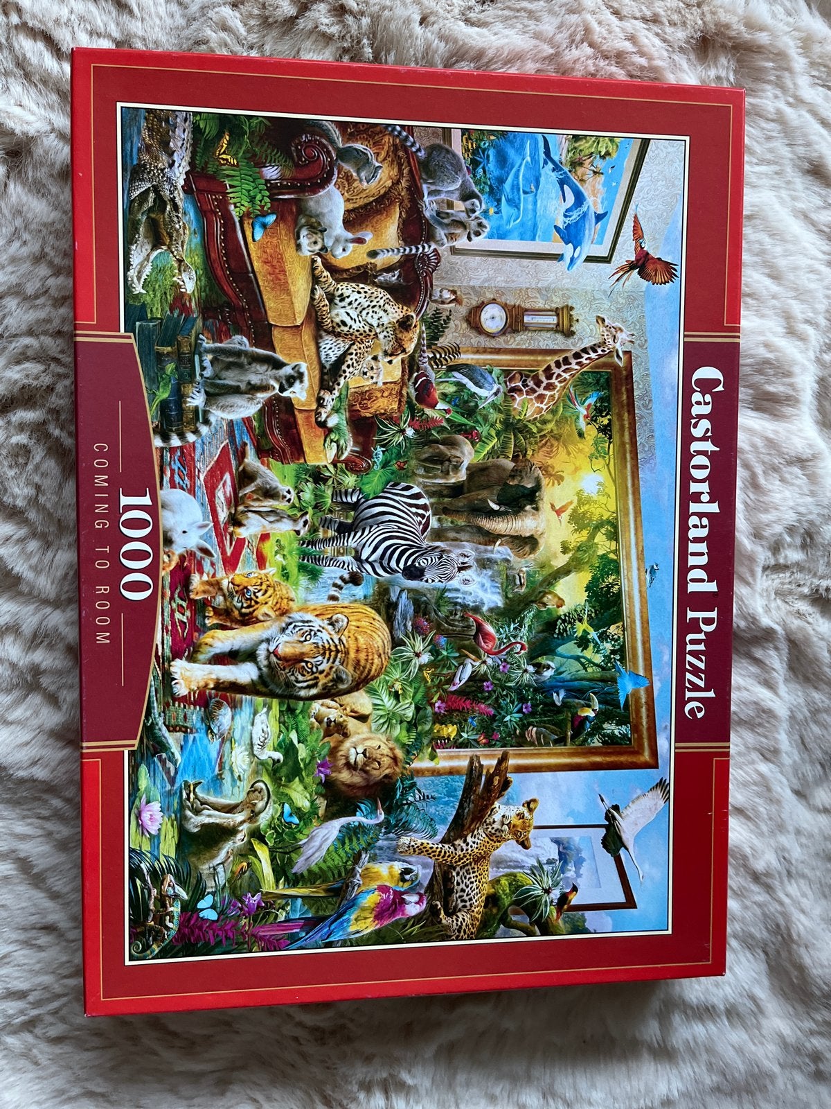 Castorland Legpuzzel 1000 stukjes - Coming to Room, Ophalen of Verzenden, 500 t/m 1500 stukjes, Zo goed als nieuw, Legpuzzel