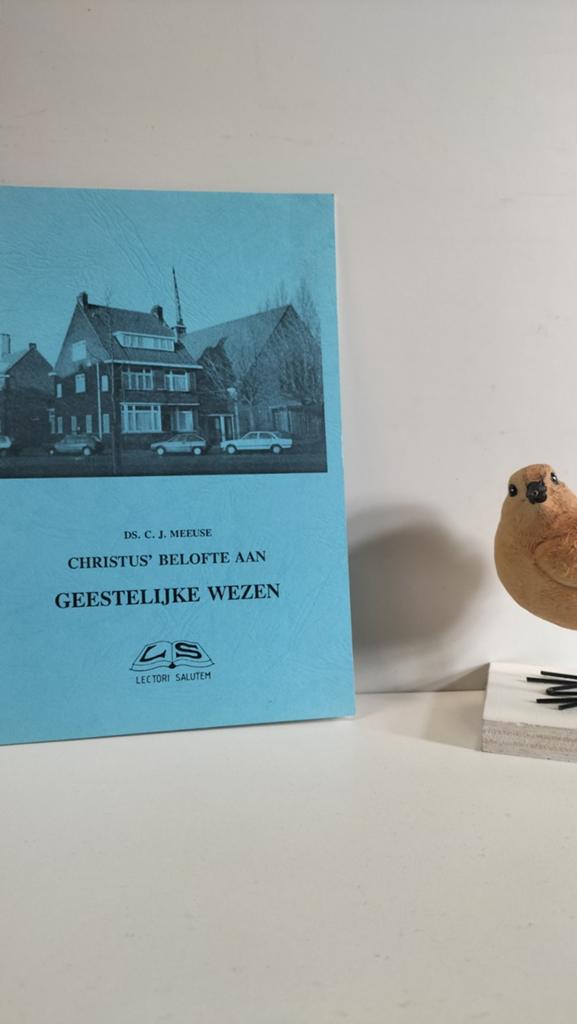 Meeuse, Ds. C.J.; Christus belofte aan geestelijke wezen, Ophalen of Verzenden, Gelezen, Christendom | Protestants