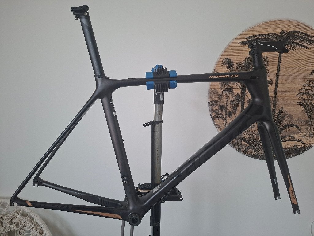 Giant TCR Advanced 1 frame maat L - gebroken, Gebruikt, Carbon, Heren, Meer dan 20 versnellingen