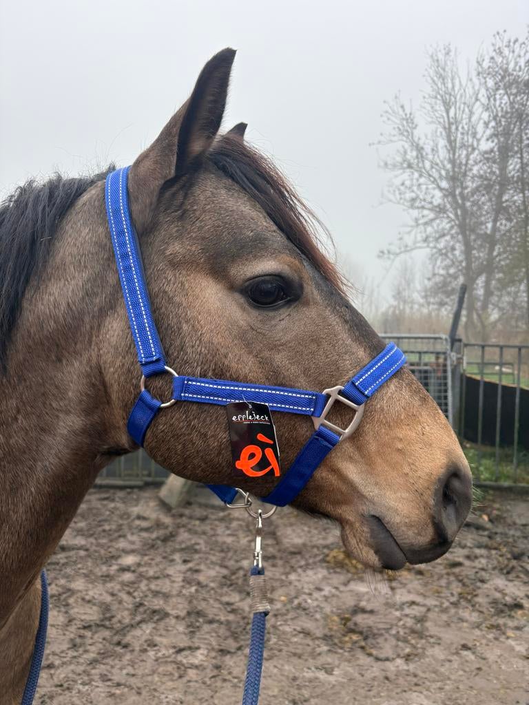 Halster epplejeck NIEUW, Dieren en Toebehoren, Ophalen, Nieuw