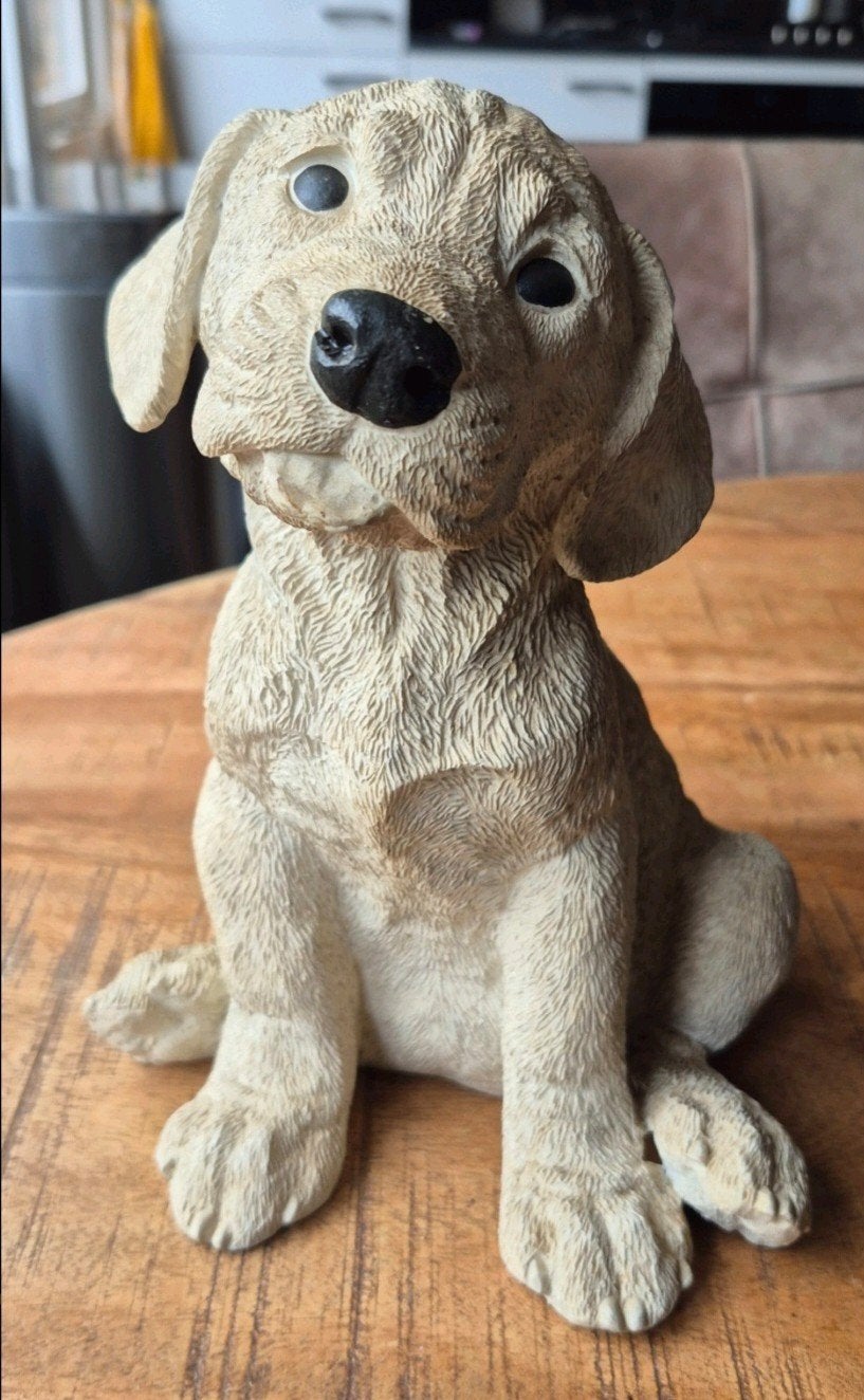 Leuk tuinbeeldje van een hond - Labrador puppy, Ophalen of Verzenden, Gebruikt, Kunststof, Dierenbeeld