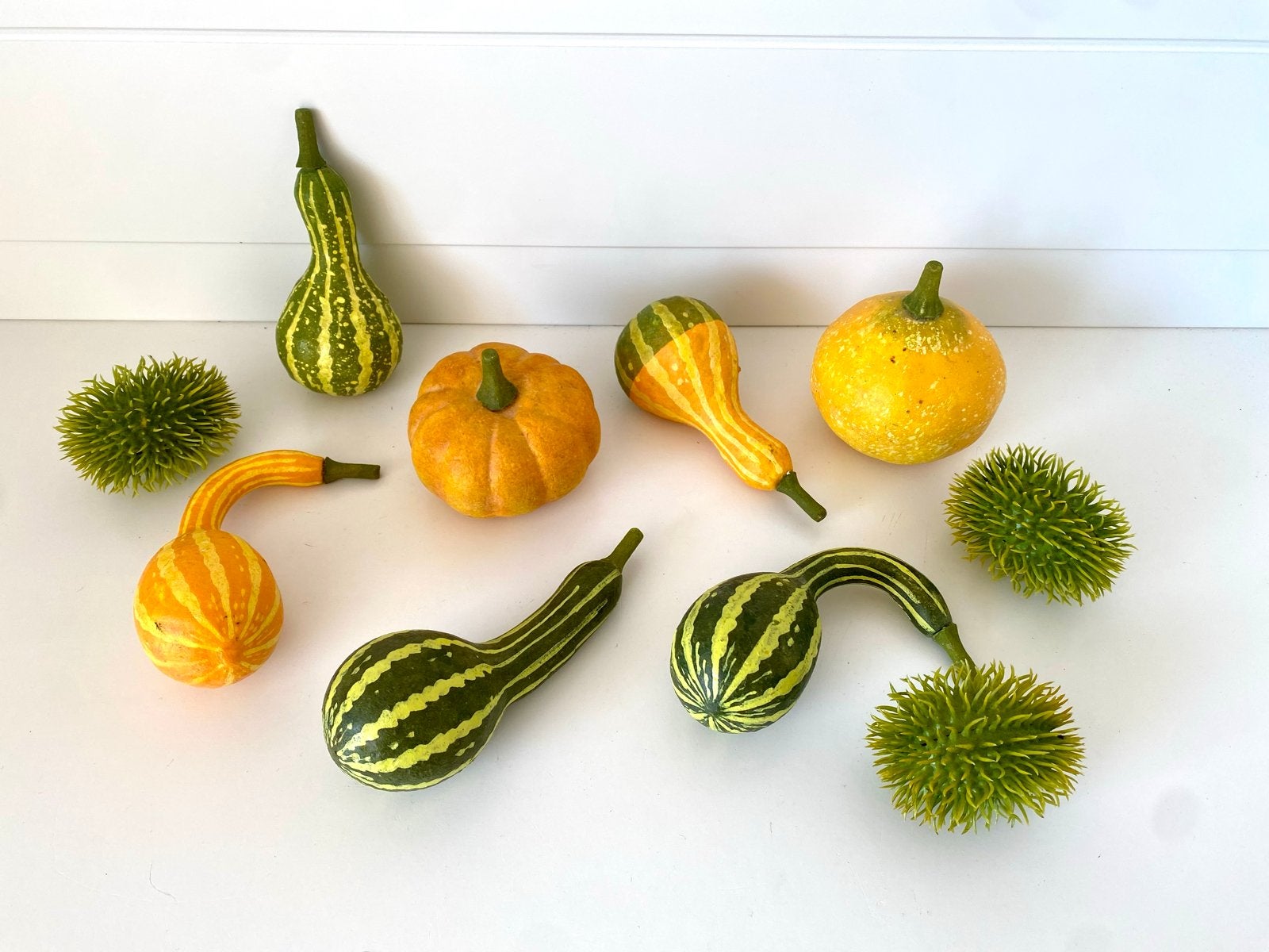 Decoratieve pompoenen en kalebassen - Herfstdecoratie, Gebruikt, Meerkleurig, Kunststof, Ophalen of Verzenden
