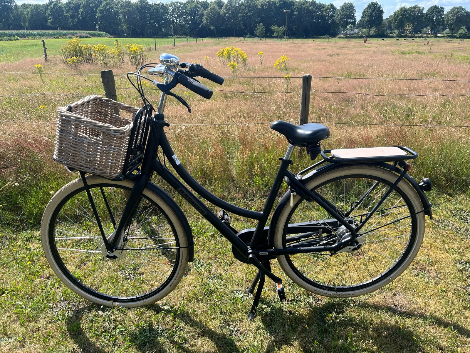 Damesfiets 28 inch Batavus, Fietsen en Brommers, 47 tot 50 cm, Ophalen, Gebruikt, Overige merken
