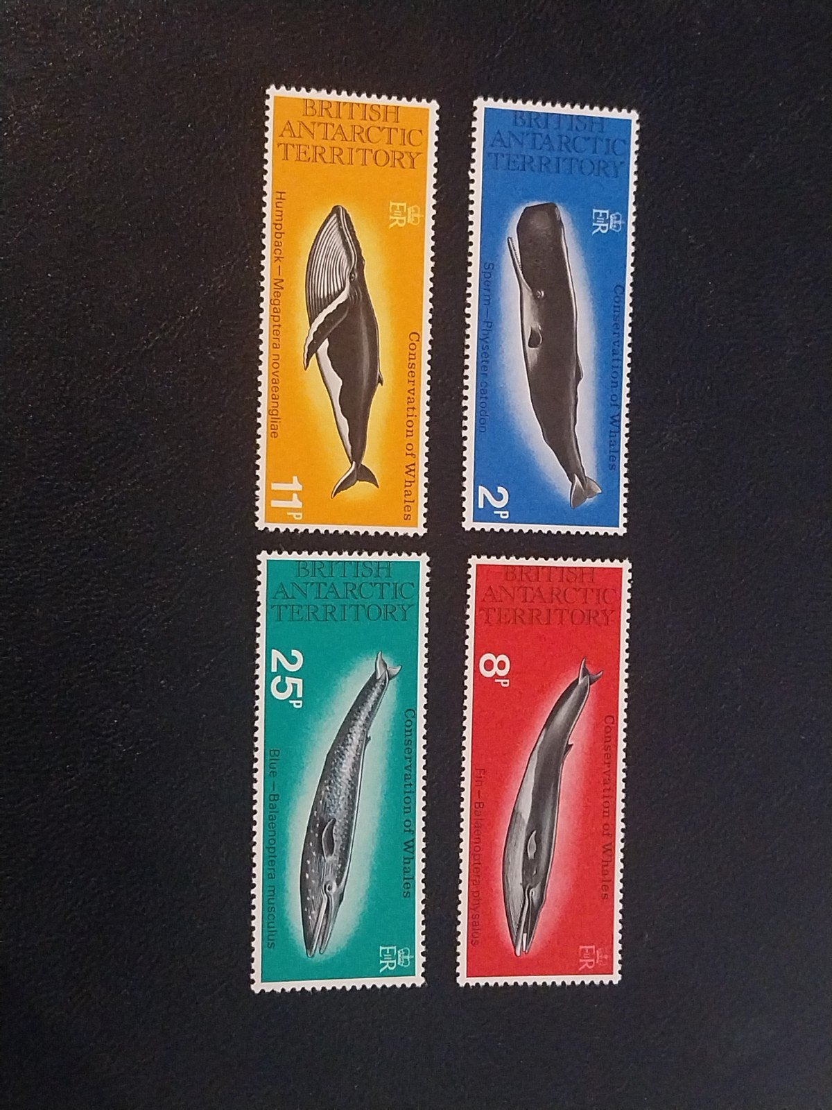 Brits Antarctica 64-67 walvis 1977 postfris mi 40 euro, Ophalen of Verzenden, Dier of Natuur