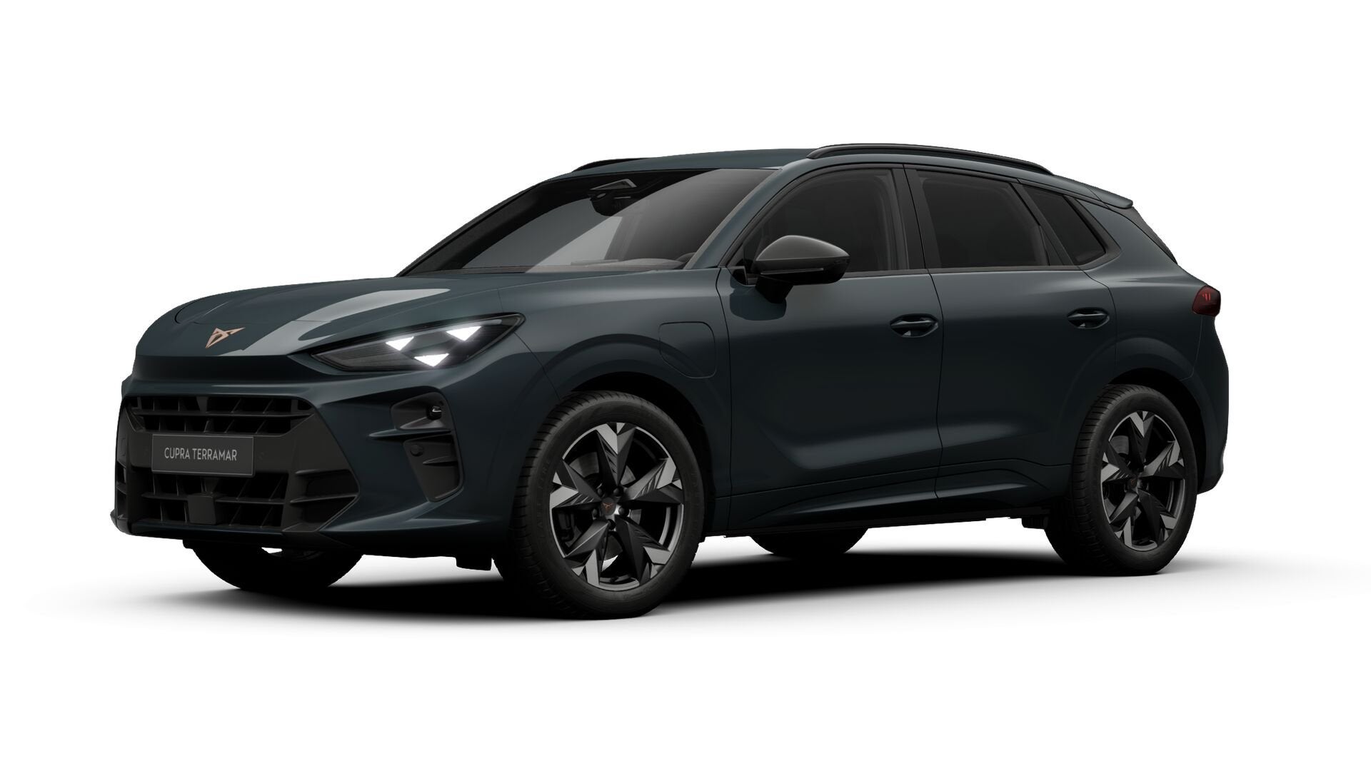 CUPRA Terramar, Auto's, 4 cilinders, 135 min, Bedrijf, Nieuw