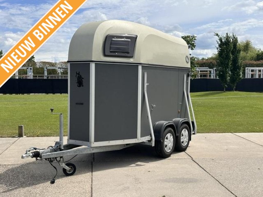 Blomert 1,5 paardentrailer TOPPER, Gebruikt, Hout, 1½-paards trailer