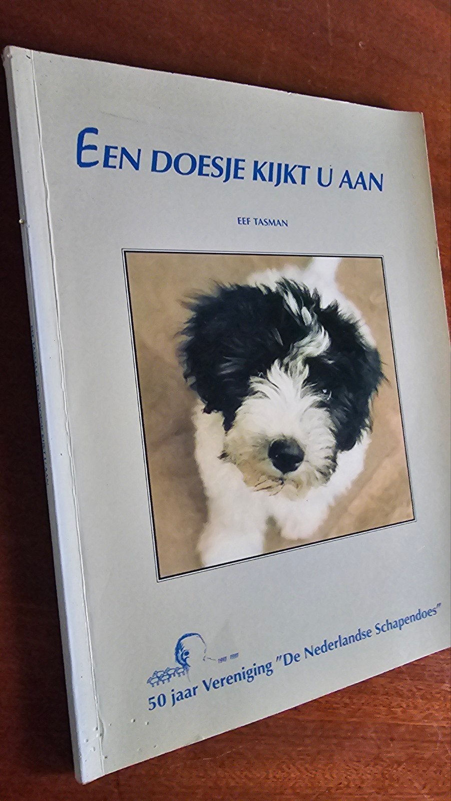 Een Doosje Kijkt U Aan - 50 jaar Schapendoes, Boeken, Ophalen of Verzenden, Gelezen, Honden, Eef Tasman