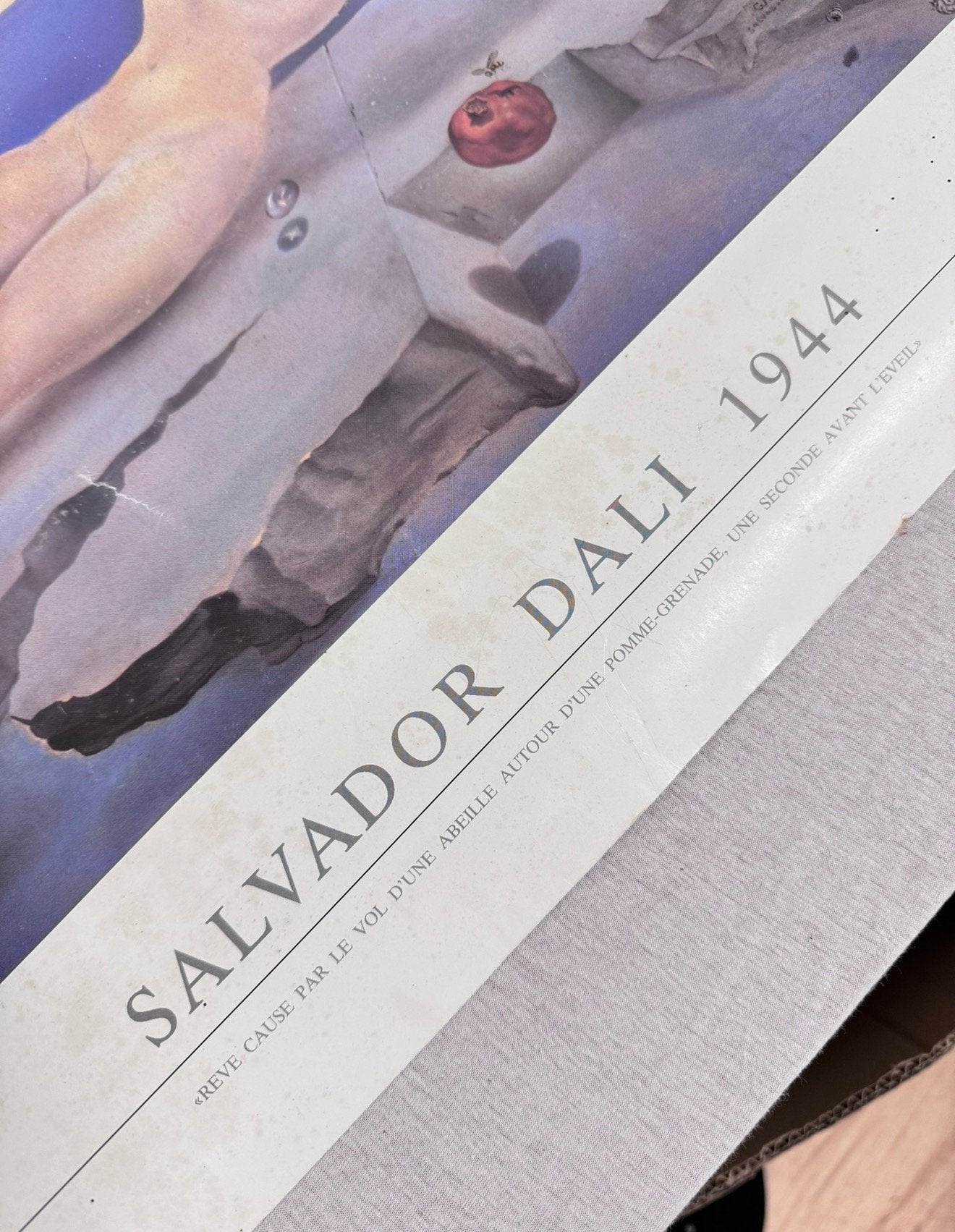 Salvador Dali Tigers - Originele XL Poster 77x51cm art kunst, Ophalen of Verzenden