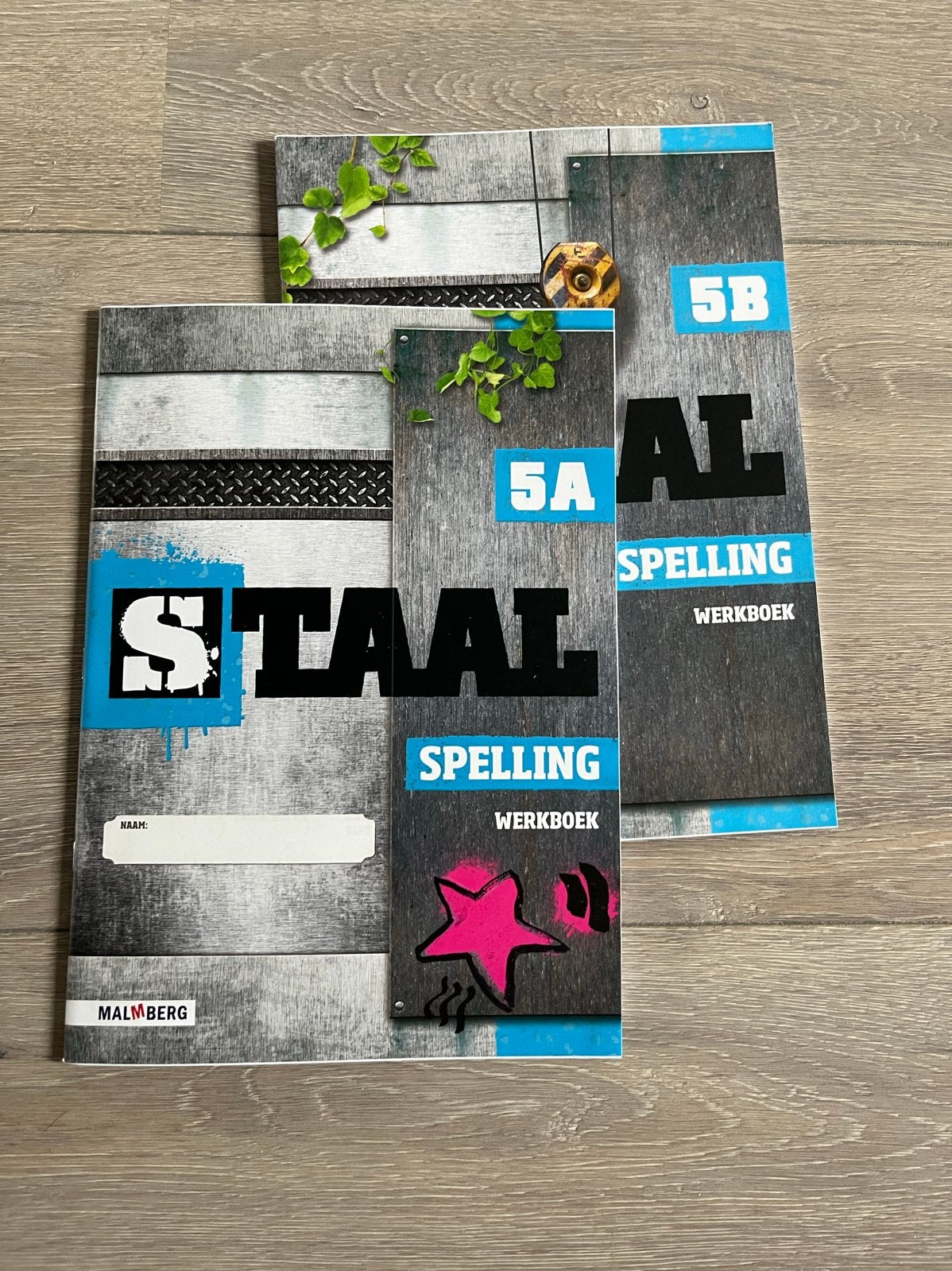 Werkboeken Staal Spelling Groep 5, 6, 7, 8, Ophalen of Verzenden, Zo goed als nieuw, Overige niveaus, Nederlands
