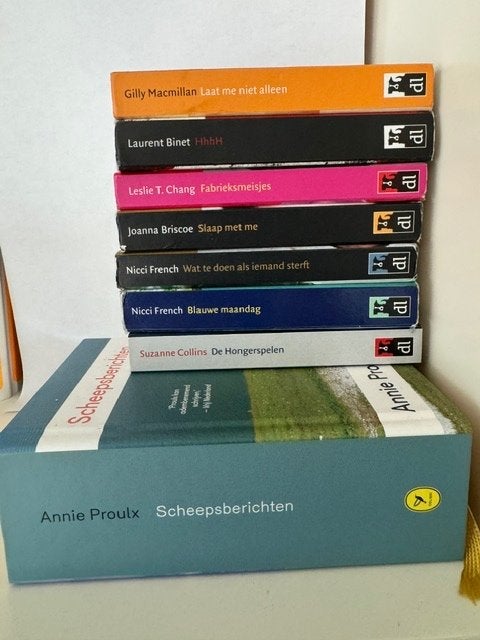 verschillende dwarsliggers te koop, Boeken, Romans, Ophalen of Verzenden, Zo goed als nieuw