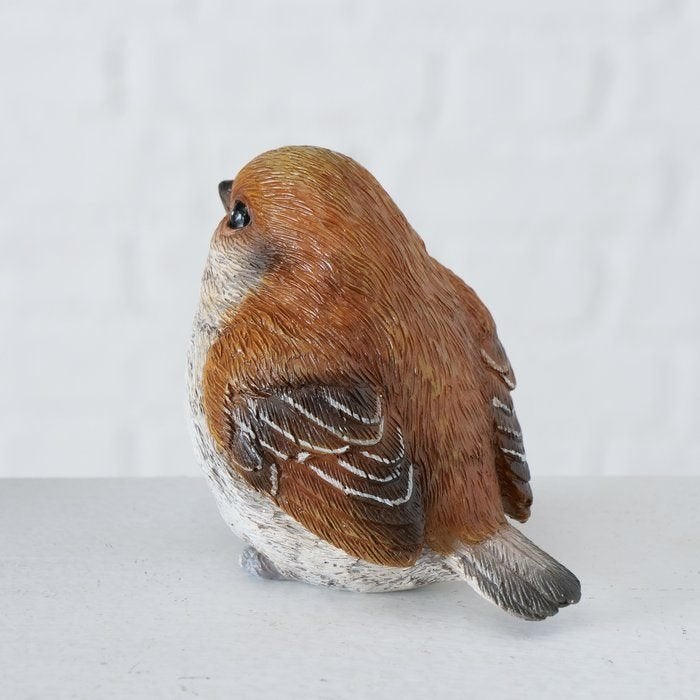VOGELTJES - COBIE - BOLTZE, Ophalen of Verzenden, Nieuw