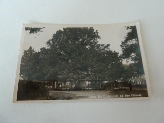 Tilburg 1948 De Lindeboom op den Heuvel, Ophalen of Verzenden, 1940 tot 1960, Gelopen, Noord-Brabant