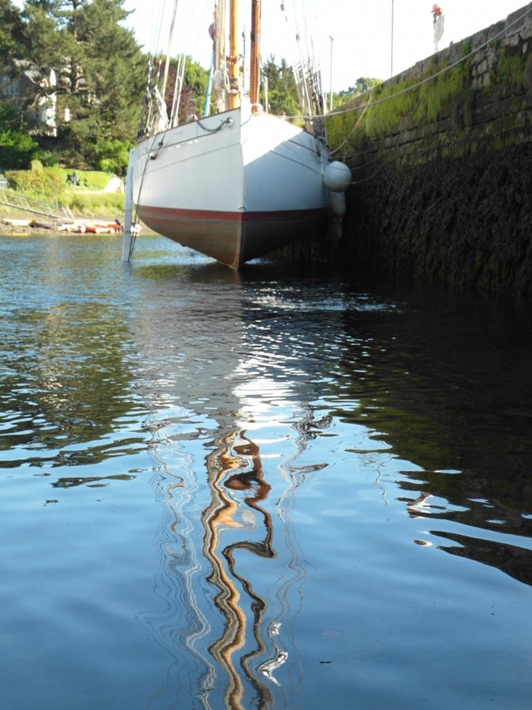 Melkfett antifouling vervanger, beter dan uierzalf, Ophalen of Verzenden, Onderhoud en Reparatie