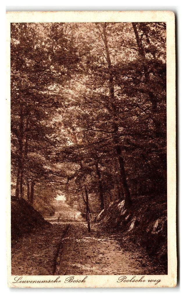 Leuvenum, Leuvenumsche Bosch - Poolsche weg, Verzenden, 1920 tot 1940, Ongelopen, Gelderland