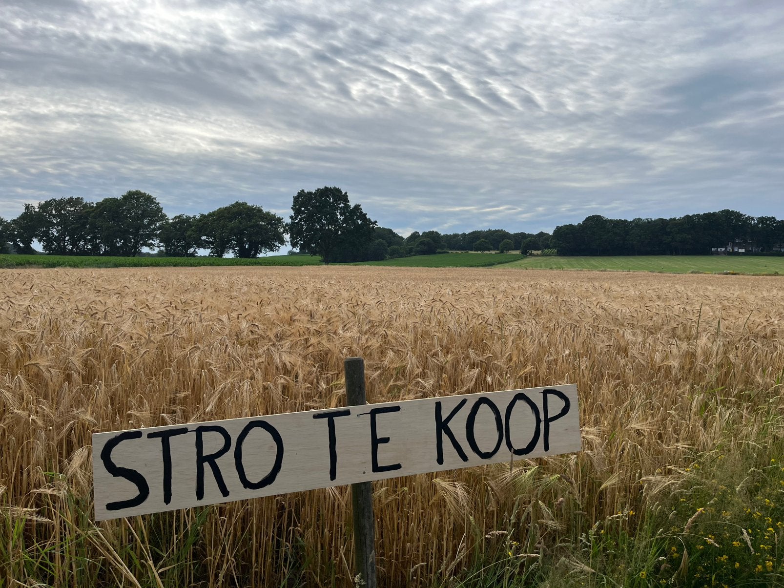 Strobalen gerst (+/- 100 stuks kleine baal), Ophalen, Vee