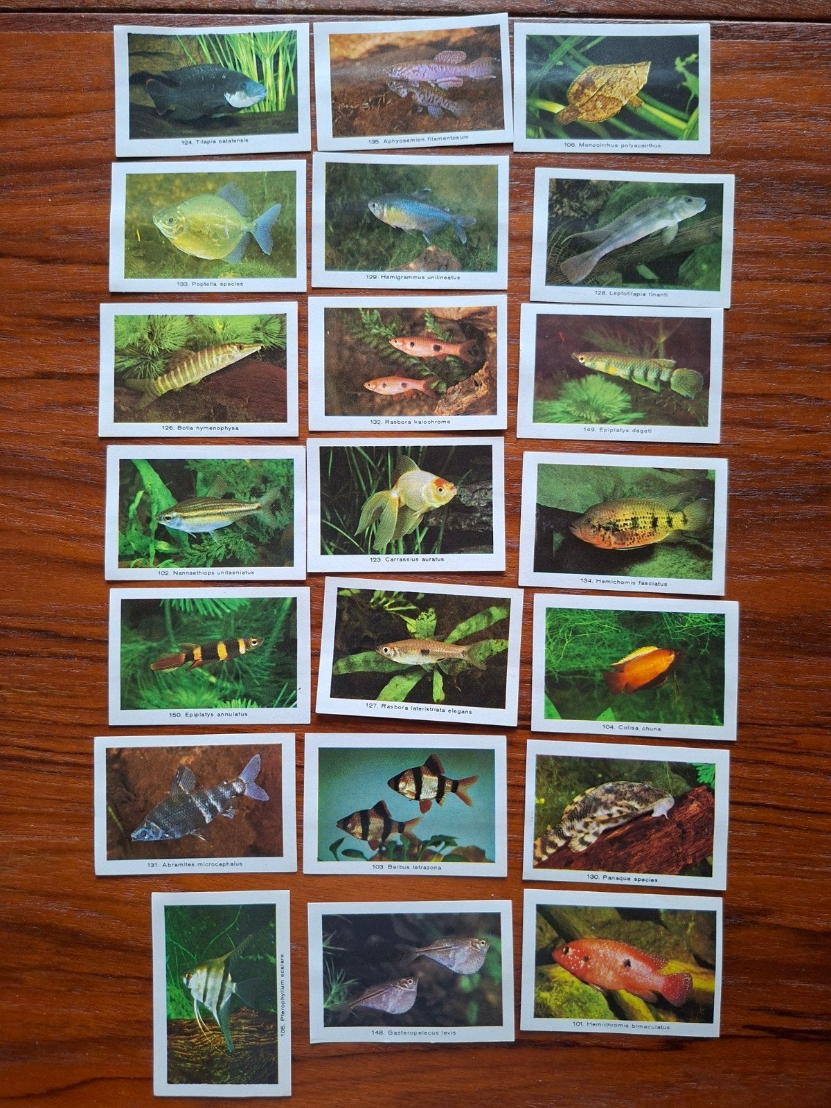 Vintage vissen plaatjes Rizzla serie, Verzenden, Meerdere plaatjes