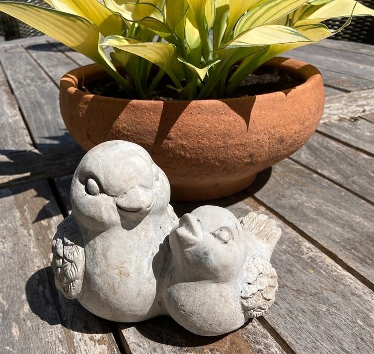 BIRDS CONCRETE POP MET KUIKEN NIEUW, -, -, Nieuw, Ophalen of Verzenden