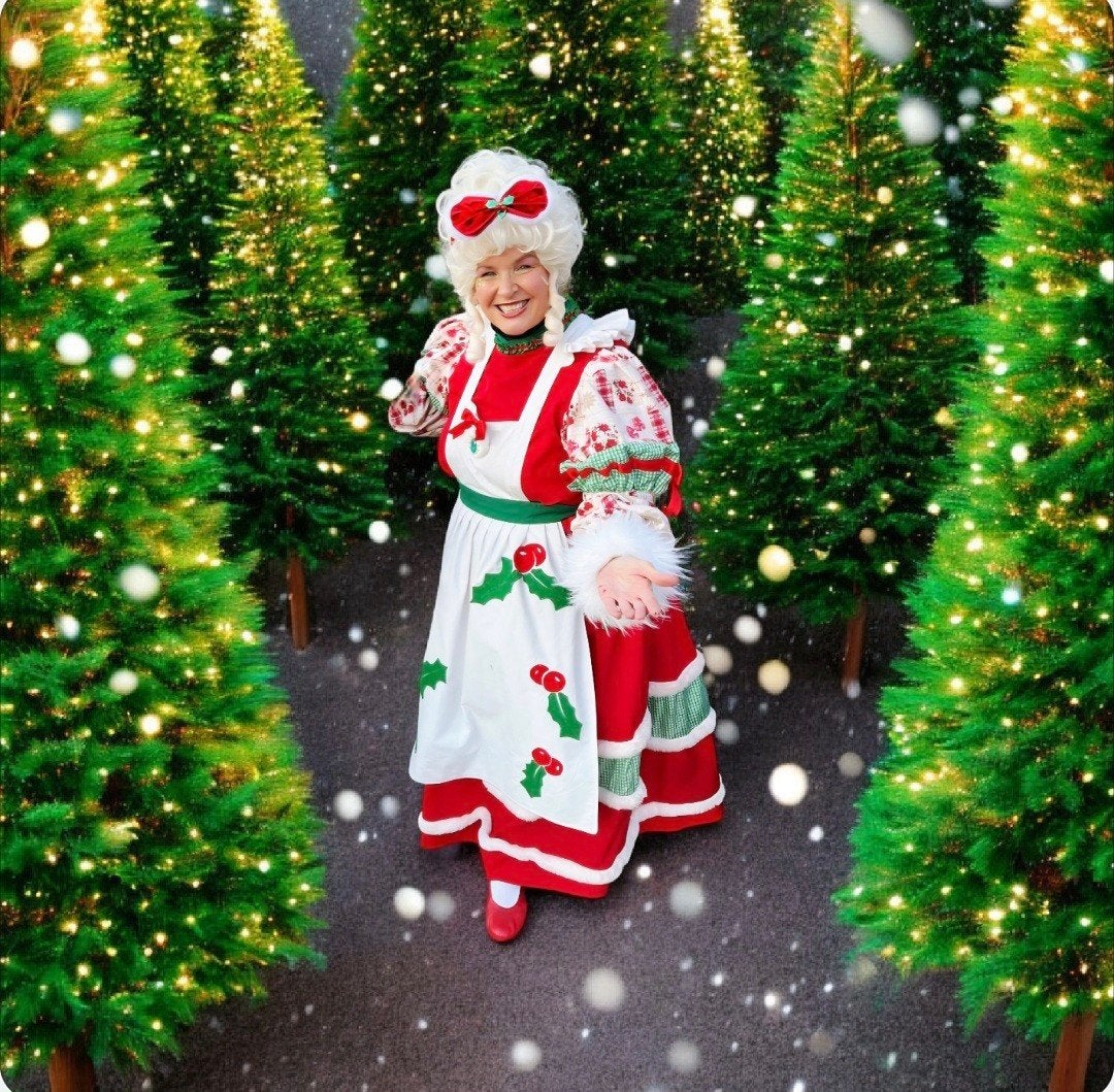 aangeboden: kerst (kinder) entertainment Kerstman&kerstvrouw, Ophalen of Verzenden, Nieuw
