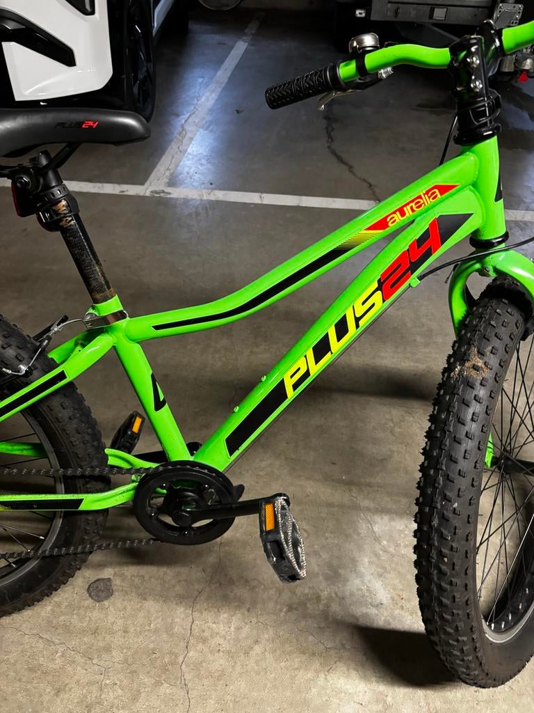 Groene Aurelia 24Plus Mountainbike - Stoer en Robuust, Gebruikt, Heren, Geen vering, Ophalen