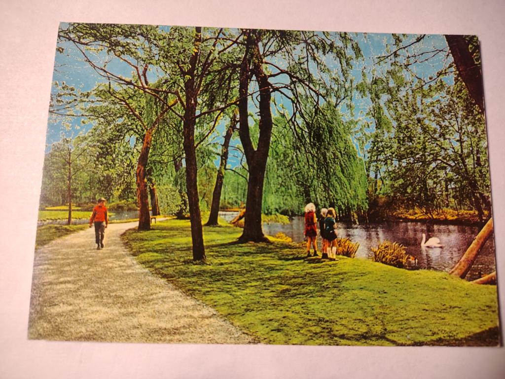 Sassenheim, Verzamelen, Ansichtkaarten | Nederland, Ophalen of Verzenden, 1940 tot 1960, Gelderland