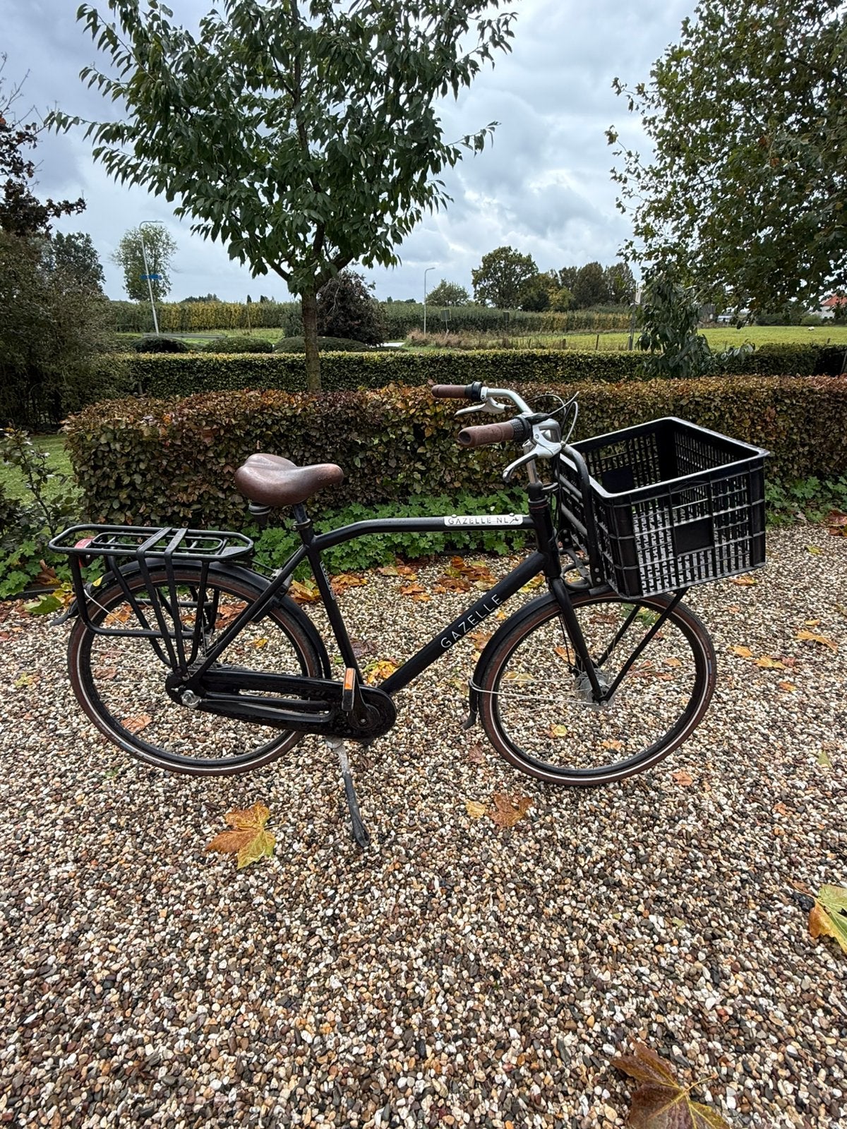 Gazelle NL Transportfiets Sterke en comfortabele stadsfiets, Fietsen en Brommers, Ophalen, Gebruikt, Versnellingen, 57 tot 61 cm