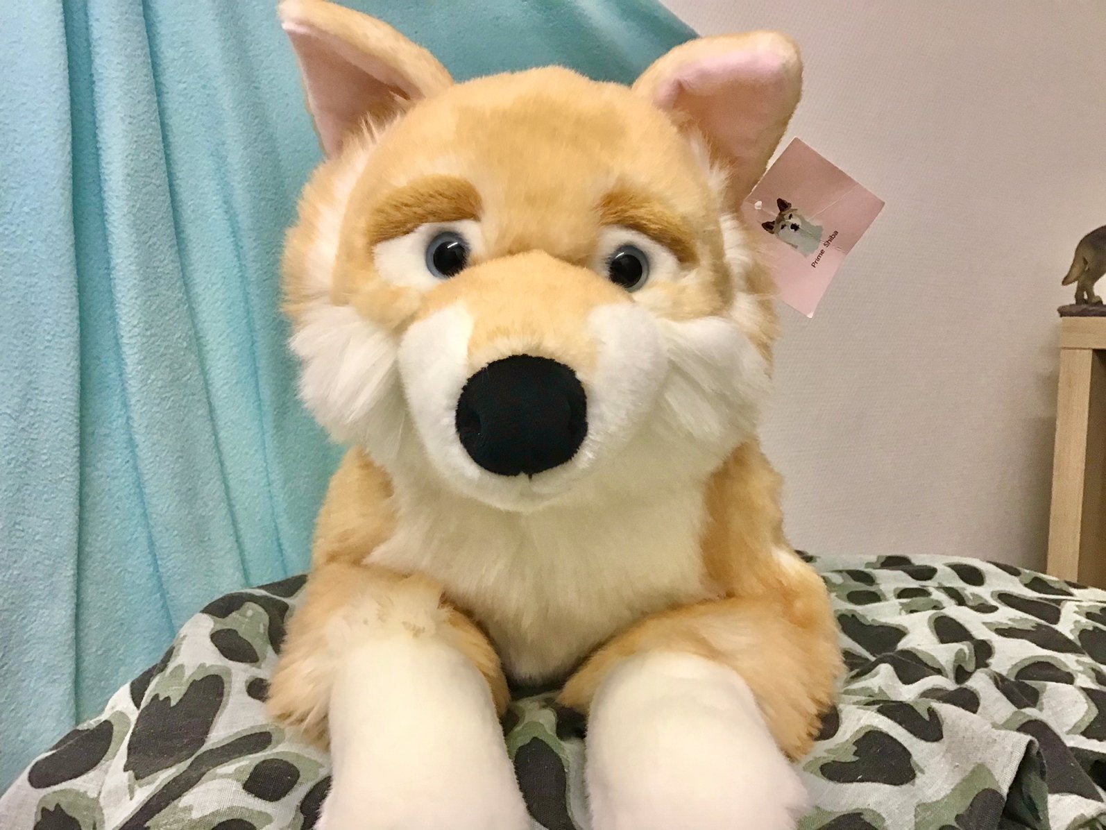 Prime Shiba Rosalie Husky NWT, Ophalen, Overige merken, Nieuw, Hond