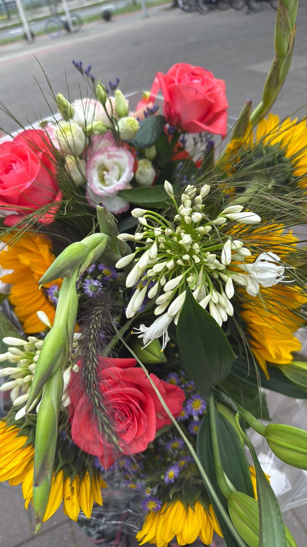 Prachtige boeket bloemen, Ophalen, Volle zon