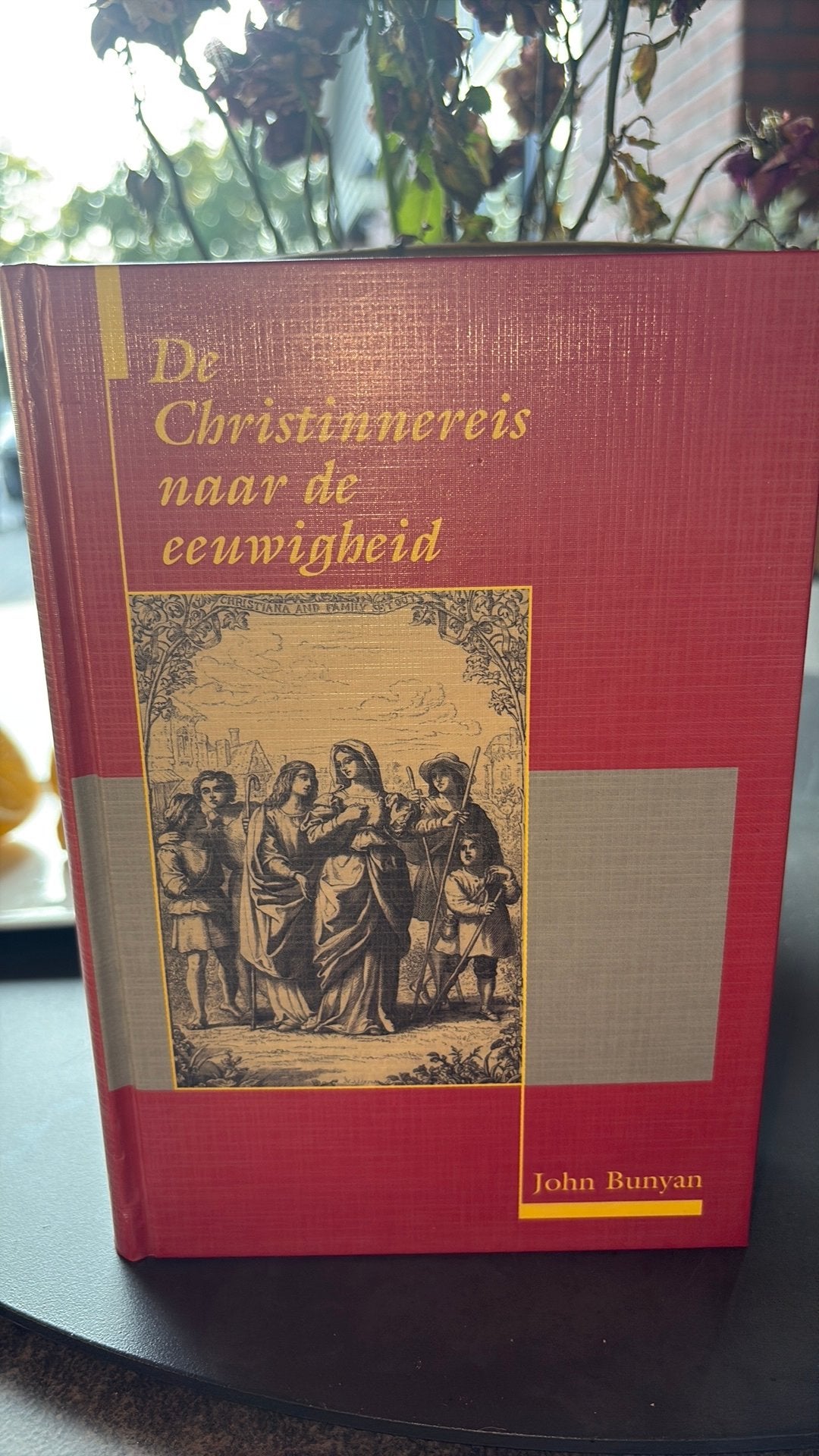 John Bunyan - De Christinnereis naar de eeuwigheid, Ophalen of Verzenden, Gelezen, John Bunyan