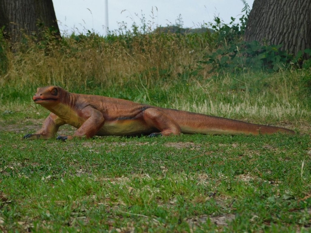 Beeld komodovaraan XXL - 170 cm - Polystone - In Kleur, Ophalen, Dierenbeeld, Kunststof, .