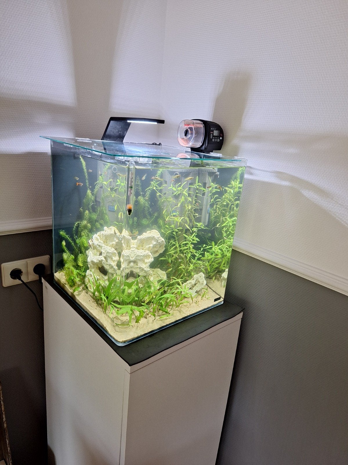 aquarium met bijbehorende kast, filter, lamp, Dieren en Toebehoren, Ophalen, Gebruikt, Dennerle, Gevuld zoetwateraquarium