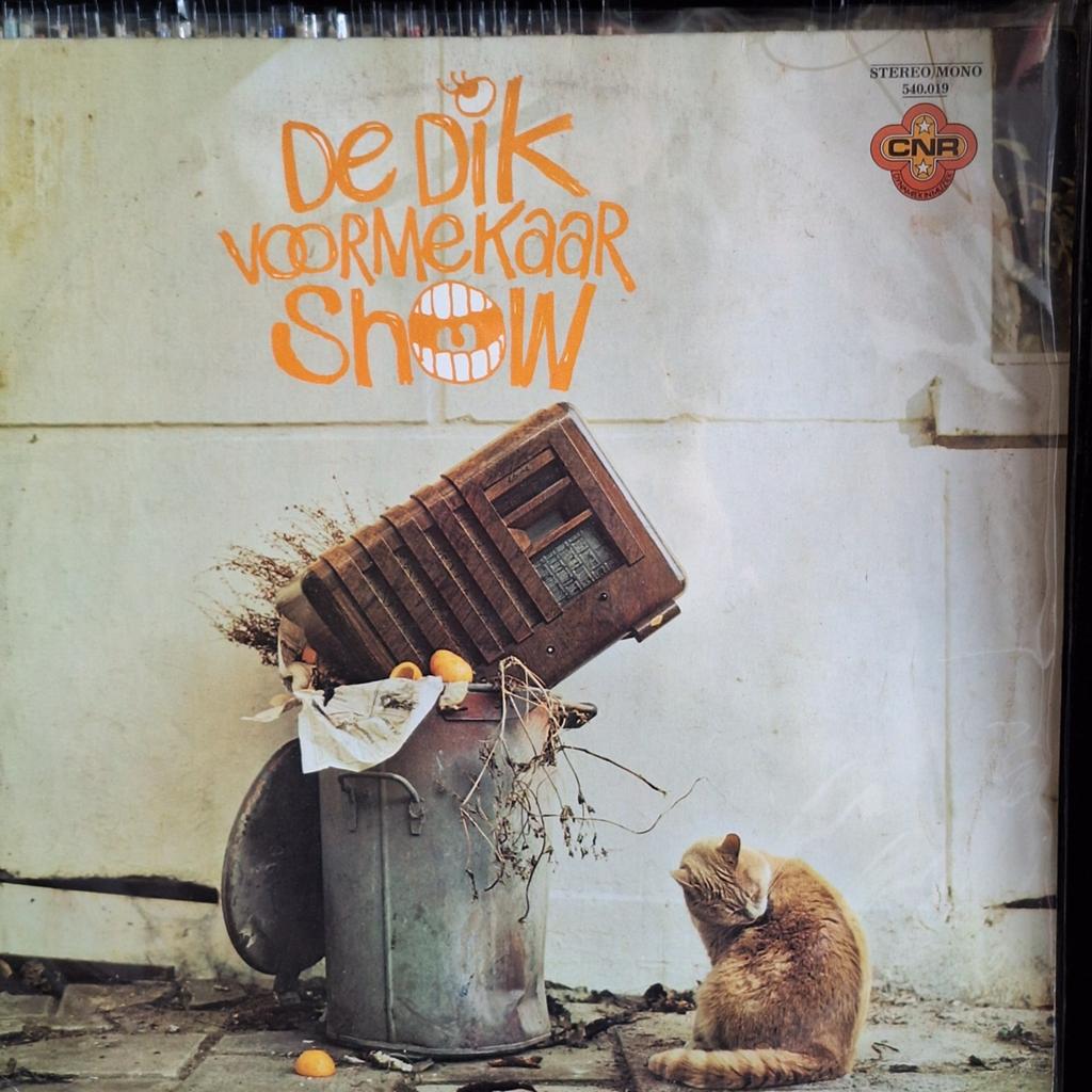 Dik Voormekaar & Meneer de Groot, Ophalen of Verzenden, Gebruikt, 12 inch, Pop