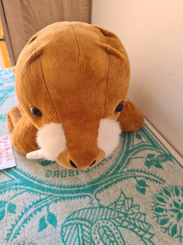 knuffel zeehond niet gebruikt, Ophalen, Overige merken, Overige karakters, Overige typen