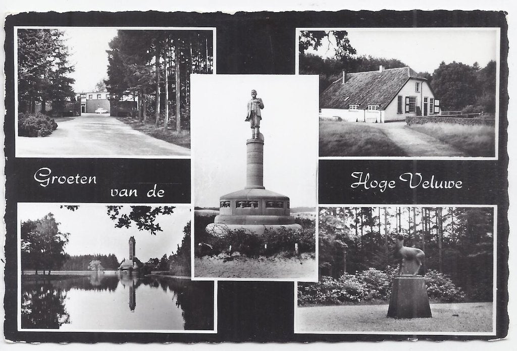 De Hoge Veluwe - Oude ongelopen ansichtkaart B732, Ophalen of Verzenden, 1940 tot 1960, Ongelopen, Gelderland