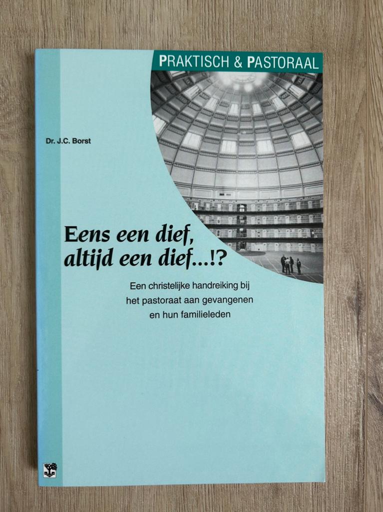 Eens een dief, altijd een dief…!? van dr. J.C. de Borst, Ophalen of Verzenden, Gelezen