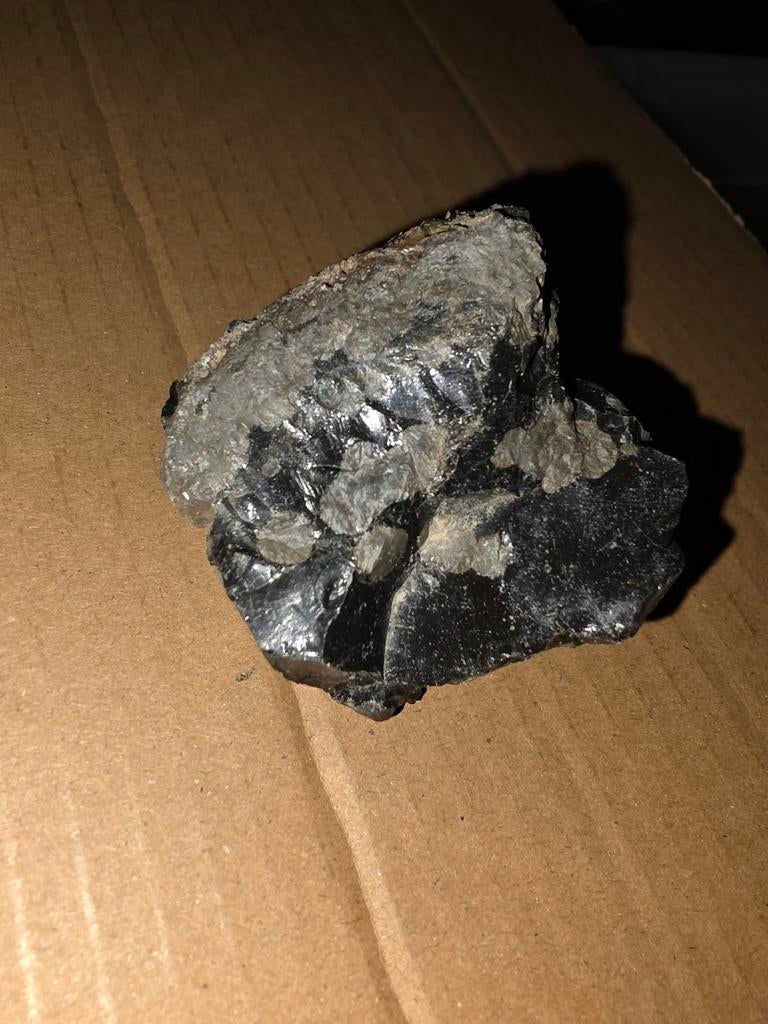 Ongeclassificeerde NWA MarsMeteoriet impactite, Ophalen of Verzenden