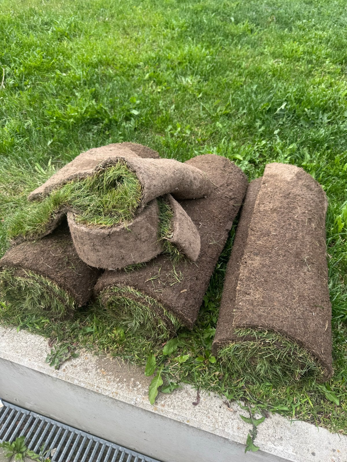 Vers gesneden graszoden, Ophalen, Zo goed als nieuw, Minder dan 10 m², Gras
