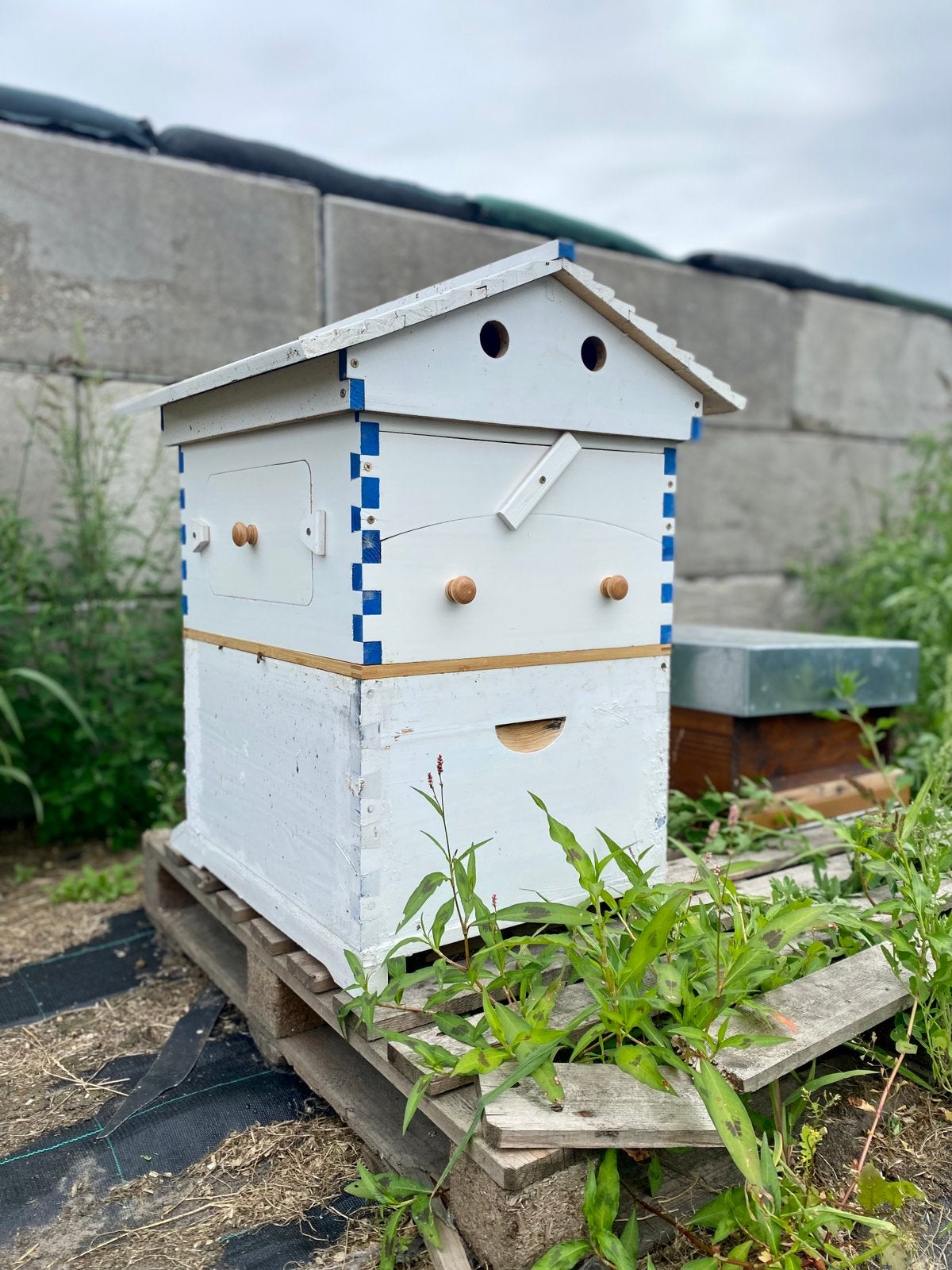 Bijenkast Aftap Hive compleet (na-maak Flow Hive), Ophalen, Gebruikt