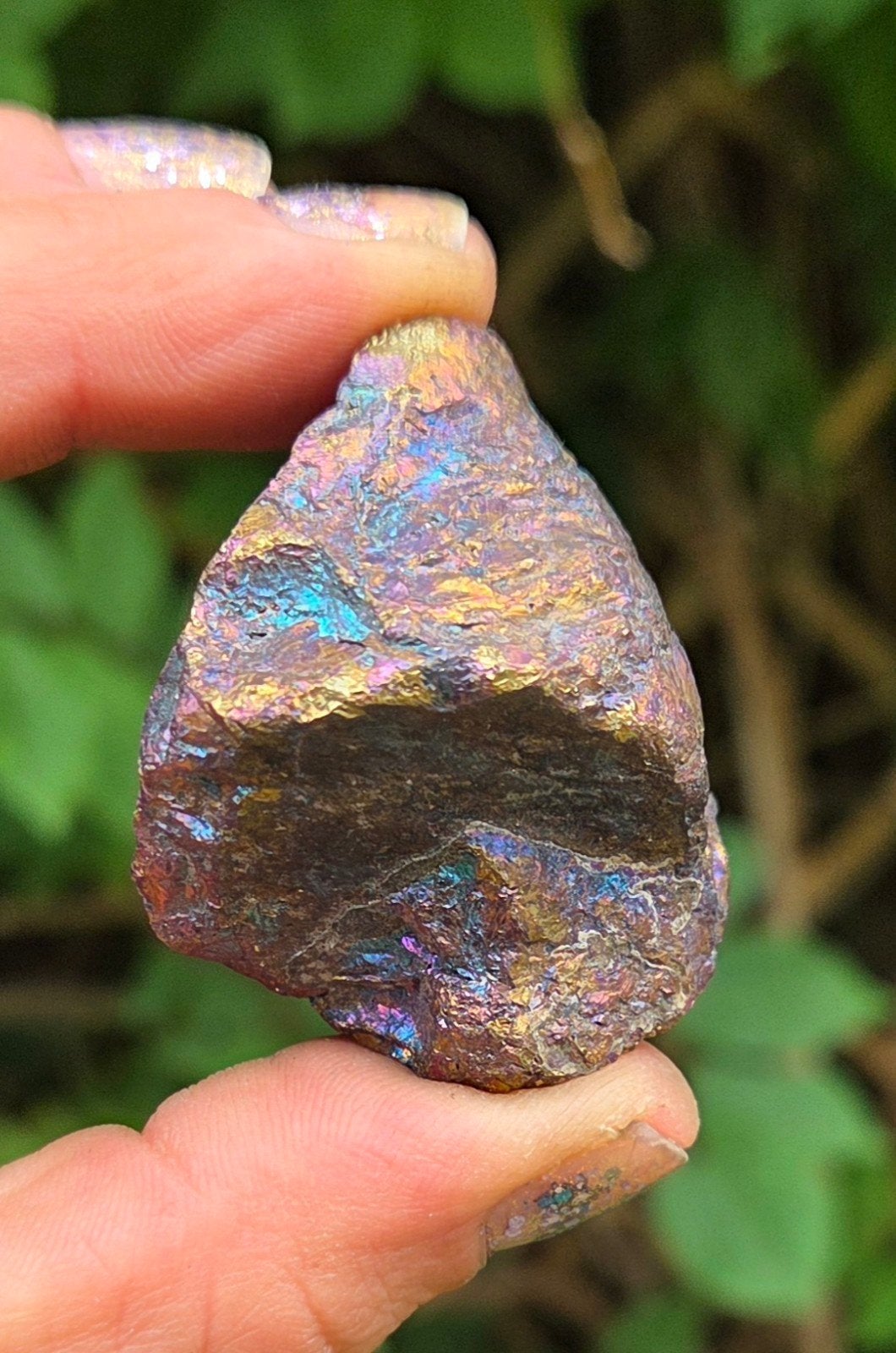 Kleurrijke Pauwenerts - 61 gram, Ophalen of Verzenden