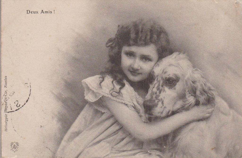 Meisje langhaar. Engelse Setter. Hond. Kind. Oude AK 1906, Verzenden, Voor 1920, Kinderen