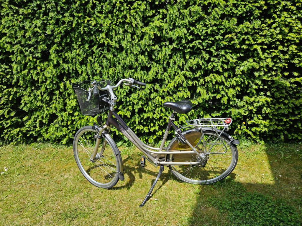 Damesfiets Montego 7 versnellingen Almere, Fietsen en Brommers, Fietsen | Dames | Moederfietsen, Gebruikt, Mandje, 0 zitjes, Ophalen