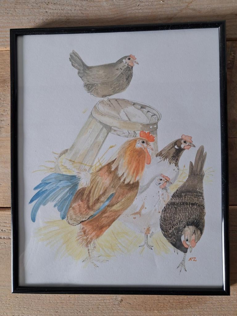 Aquarel Kippen en Haan - 20 x 25 cm, Ophalen of Verzenden