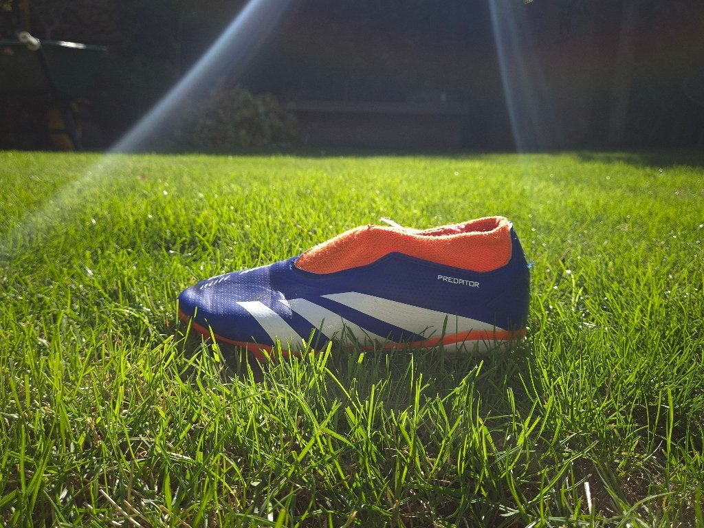 Voetbalschoenen Adidas Predator, Gebruikt, Maat XS of kleiner, Schoenen, Ophalen of Verzenden